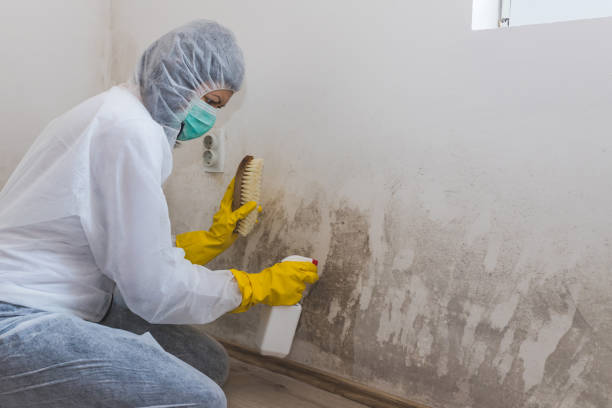Reliable Hidden Meadows, CA Mold Remediation Solutions