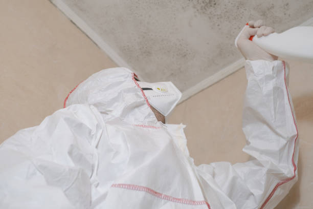 Best Bathroom Mold Remediation in Hidden Meadows, CA
